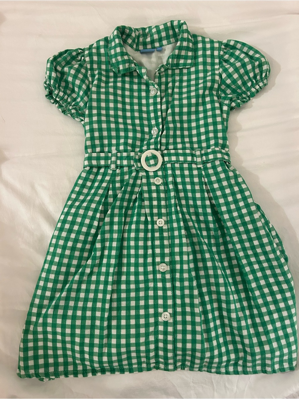 Draper James Green and White Gingham Button-Front Dress